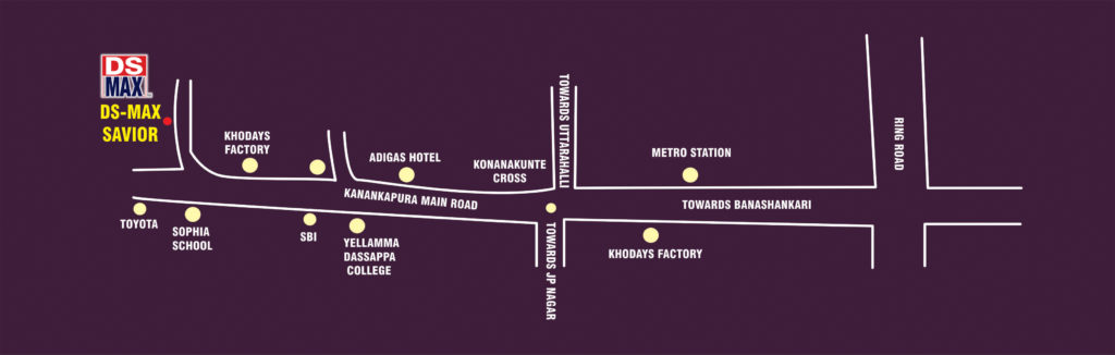 DS-MAX-SAVIOR-Route-Map1