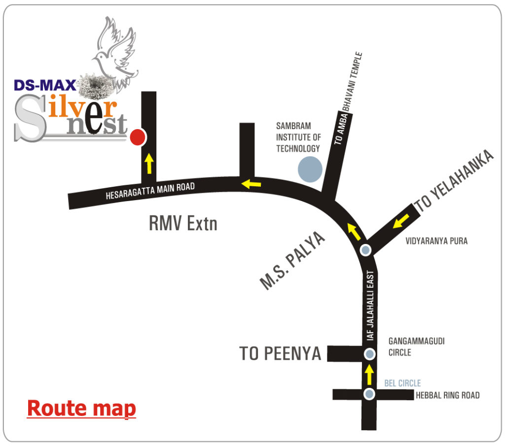 Brocher of Silver Nest